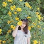 Nguyễn Hồng Hạnh